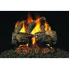 Real Fyre 19" Charred Oak Gas Logs With G4 Burner, NG -Bbq-Grills Shop 621143701 81913.1677789425.1500.1500