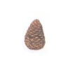 Pine Cone 4-in Medium, Rasmussen -Bbq-Grills Shop 7077418 84624.1477010761.1500.1500
