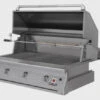 Solaire 42" InfraVection Built-In Grill W One IR Burner, Rotis | LP -Bbq-Grills Shop AGBQ42 45072.1642523516.1500.1500