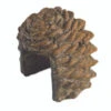 Real Fyre Pine Cone Dectorative Remote Cover 2 Real Fyre Pine Cone Dectorative Remote Cover -Bbq-Grills Shop pcdc 1 11470.1477035534.1500.1500