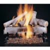 Rasmussen 18" Birch Double Face Gas Logs Only -Bbq-Grills Shop white birch 75795.1477037686.1500.1500