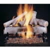 Rasmussen 20" Birch Firepit Logs Set, 10-Piece -Bbq-Grills Shop white birch 80483.1416327967.1280.1280 74573.1477044282.1500.1500