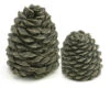 Set Of 2 Decorative Charred Pine Cones -Bbq-Grills Shop yhst 87469101818510 2155 30745636 35611.1477008034.1500.1500